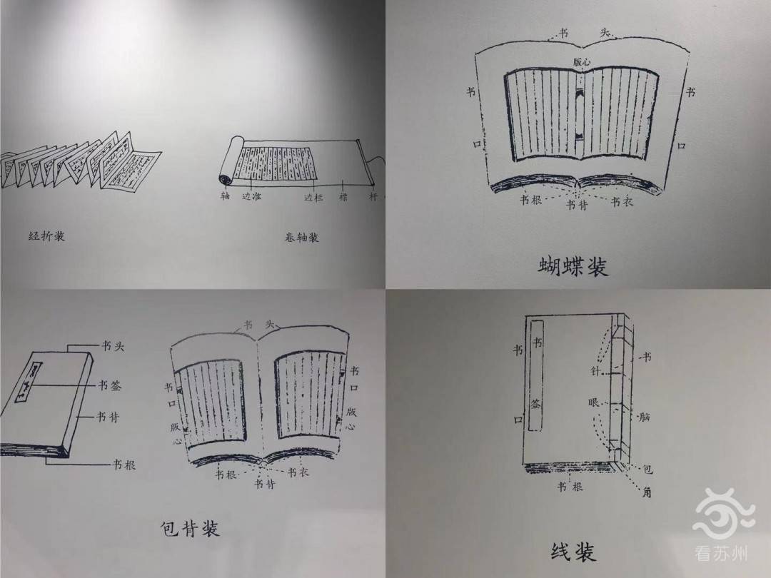 卷轴装,经折装,蝴蝶装,包背装和线装所有如果在电视剧中看到唐代出现